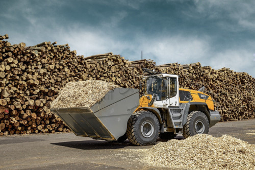 L580 XPower Timber